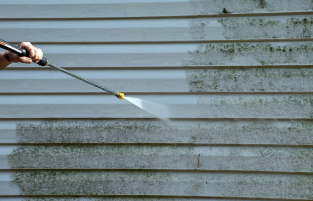 Best Driveway Pressure Washing  in Hampton, SC